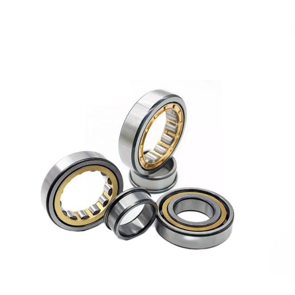 ECP Full Complement Roller Bearings N2206 NUP206E Nj206 30x62x16mm