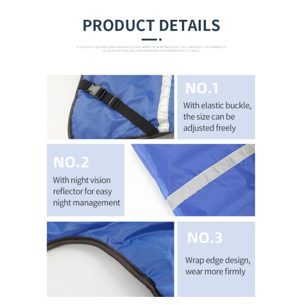 Capa de ternera de tela azul oxfordiana impermeable para terneras de 38-45 kg