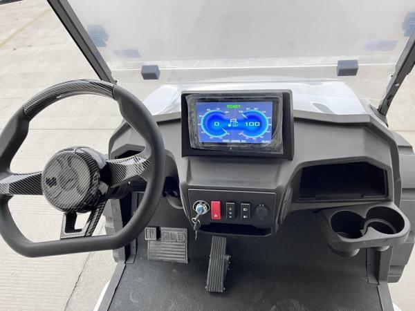 Carrinho de golfe de 4 lugares Bateria de chumbo ácido Suspensão independente Caça elétrica