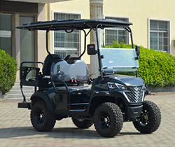 Electric Golf Cart Batteries Trolley Bags and Equipped Standing Postion of Tail Caddie
