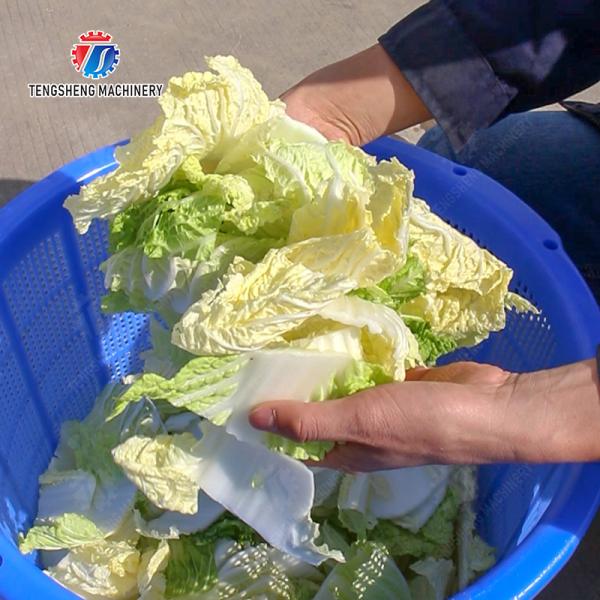 Onions Greens Lettuce Cao Xin Baby Cabbage Chinese Cabbage Cabbage Spin Dryer Industrial Commercial  Food Dehydrator Dewatering Machine  Centrifugal Dehydration Machine Fruits vegetables dehydrator