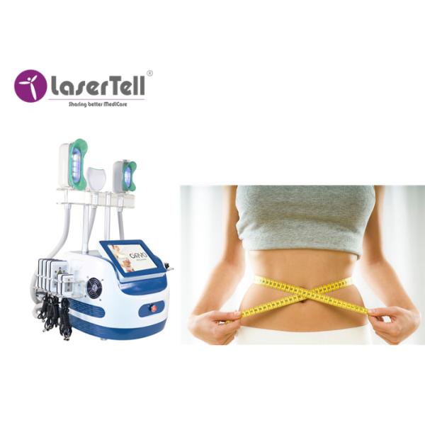 Slimming Touch Screen Portable Cryolipolysis Machine Ce Certification