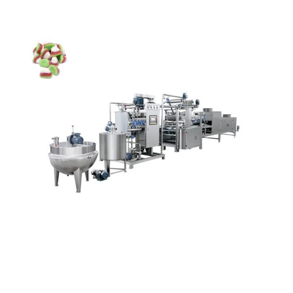 After Service Video technical support Large Gummy Candy Making Machine for 220V Voltage