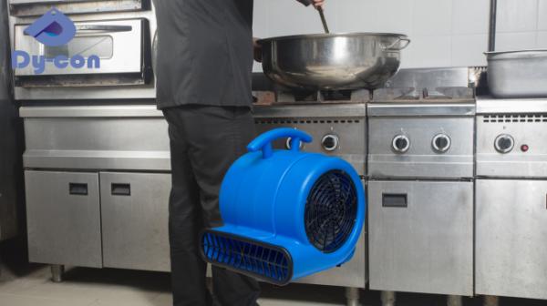 YL-805 Souffleur d'air portable 220V 1000W pour séchage rapide