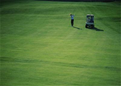 Verdes de colocação exteriores do golfe da casa artificial alta do tapete da grama do golfe da resistência de abrasão