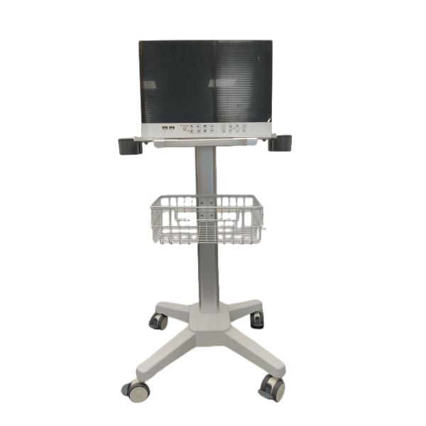 Prise en charge AWB Moniteur LCD 4K UHD Endoscopie médicale Caméra pour Laparoscope Arthroscopie de la colonne vertébrale