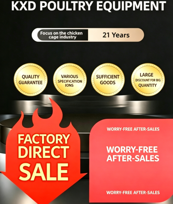 High-rise Multi-tier Hot-dip Galvanized Layer Cage System for Automated Poultry Farming