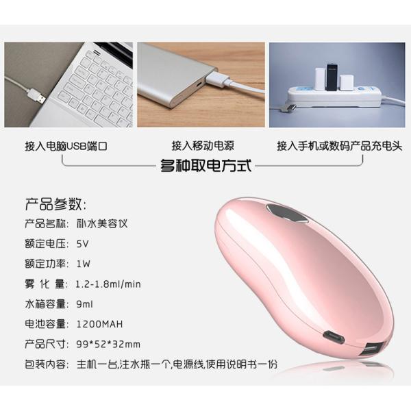 Beauty Facial Hydrating Skin Water Sprayer with Power Bank GK-SP02