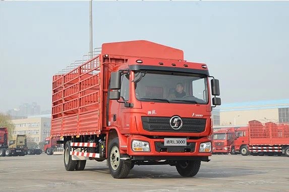 Shacman L3000 Cargo TRUCK Light Cargo Camera 6x4 Right Hand Drive Used Dump Truck Euro 3