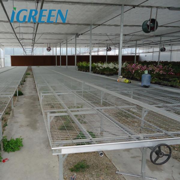 Зелёные сельскохозяйственные теплицы Большая панда пленка теплица подходит для всех климатических условий