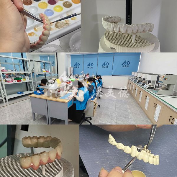AMD Dental Laboratory