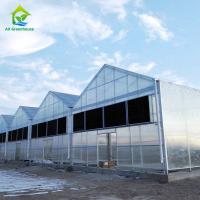La gouttière médicale de l'herbe CBD Gable Light Deprivation Greenhouse Multispan relient la serre chaude