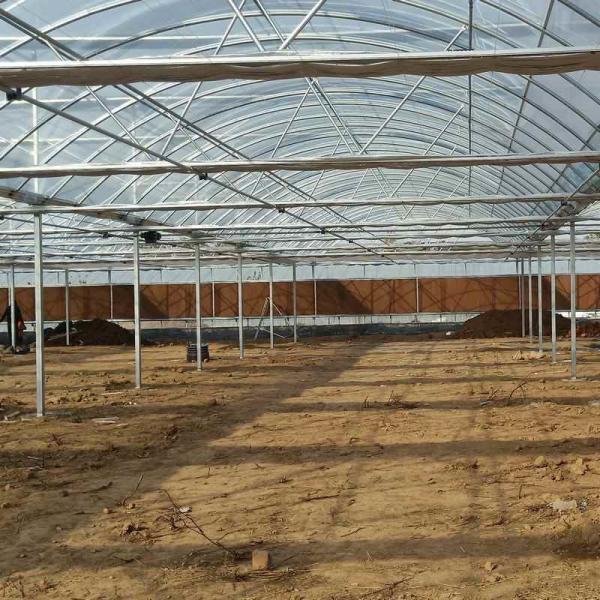 Vegetable Agricultural Tomatoes Dome Roof 7-10m Span Po Film Greenhouse