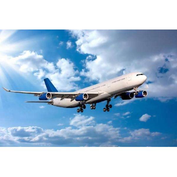 Self Balancing Adult Powerful Electric Scooters Two Wheel Patrol Use 2400w