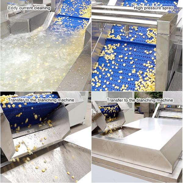 Streamline Your Manufacturing Process with Our Advanced Fruit And Vegetable Processing Line