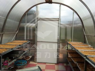 PC Board Drying Greenhouse with Ventilation Equipment for Efficient Herb and Vegetable Drying
