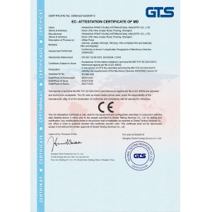 Shanghai Printyoung International Industry Co.,Ltd Certificações