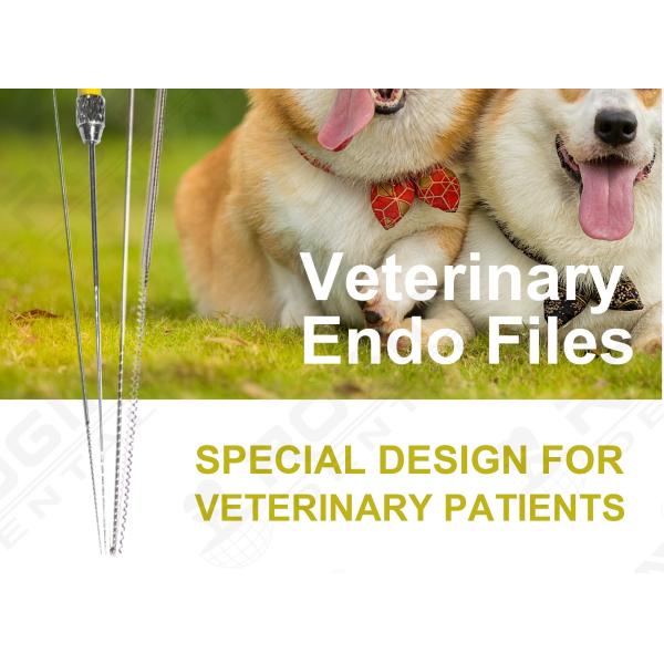 Veterinary Paste Carriers For Vets Spiral Lentulos 25mm 31mm 60mm #25-40