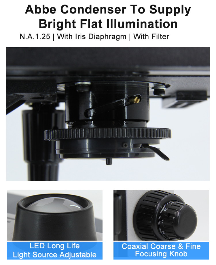 Halogen Light Student 1000x WF10X Biological Compound Microscope