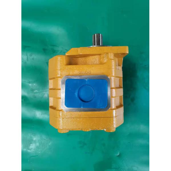 CBGJ3125 L 14T CBGJ Машиностроительный насос для машин и транспортных средств