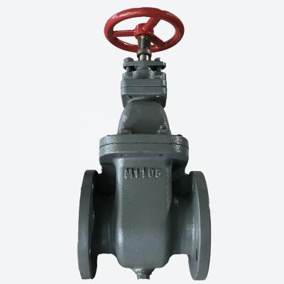Y-Strainer Carbon Steel Valves For Gate , Butterfly Check Globle Valves