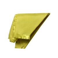 Arda - a tela retardadora de Para Aramid