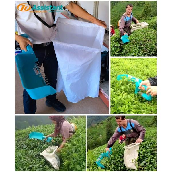 300mm Working Width Dl-4Cd-35 Portable Electric Tea Leaf Picking Machine for Tea Harvester