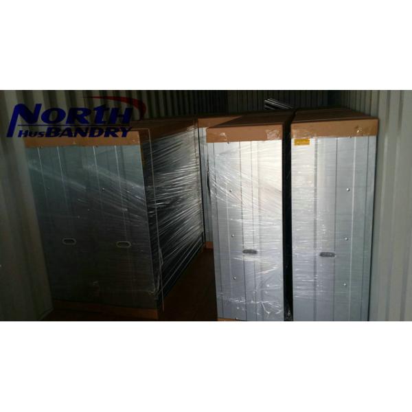 injection of poultry