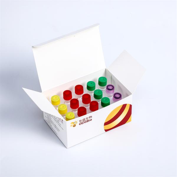 High Throughput Sequencing Platform NGS Library Construction Fast DNA Plus Prep Kit K004-A