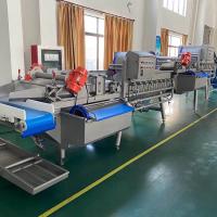 380v Máquina de lavar frutas e vegetais