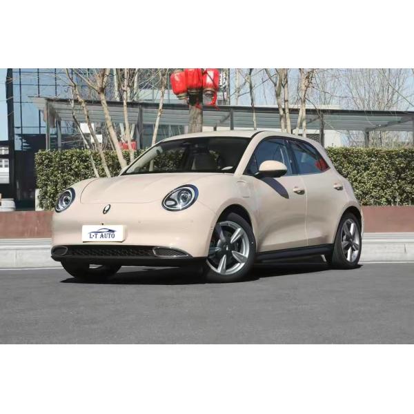 ORA Used Car 5-Seater Electric Vehicle with 150km/h Max Speed