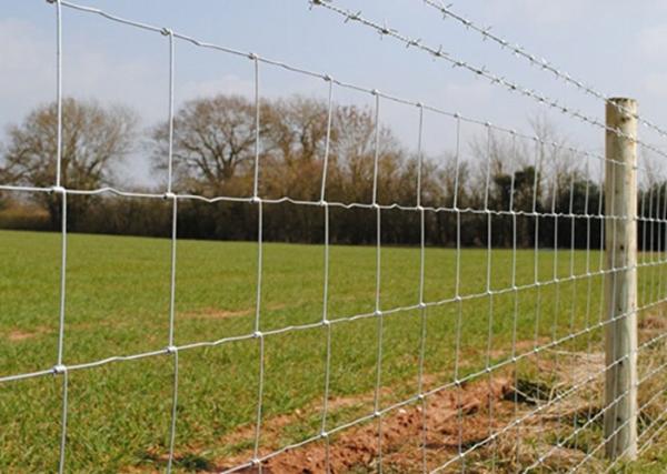 Galvanized Cattle Wire Fence / Knotted Wire Field Fence For Horse