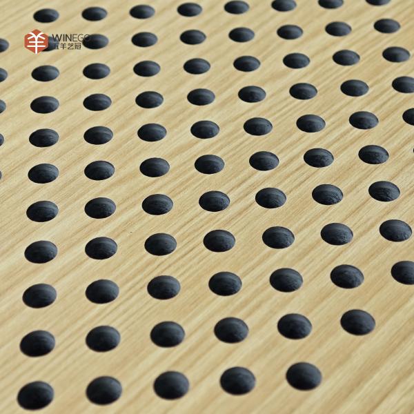 Architectural Perforated Acoustic Panel Ceiling & Wall Installation for Auditoriums