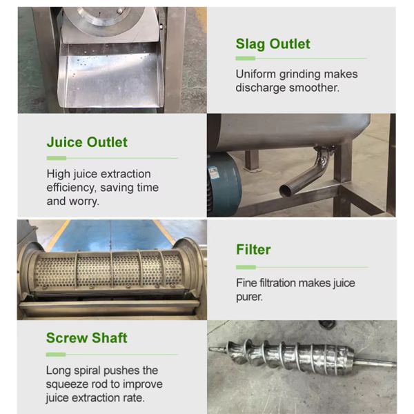 Custom 304 Stainless Steel Coconut Milk Spiral Industrial Fruit Apple Watermelon Pineapple Juicer Commercial Juicer Coconut Pulp Juicer