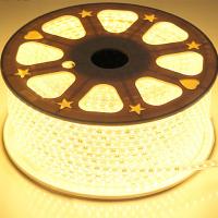 blanc chaud flexible des lumières de bande de 110V SMD2835 LED 16.4Ft aucun UV