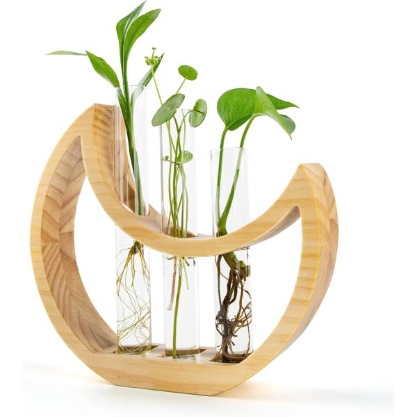 Anniversary Crescent Moon Table Stand for Indoor Houseplants and Office Decor