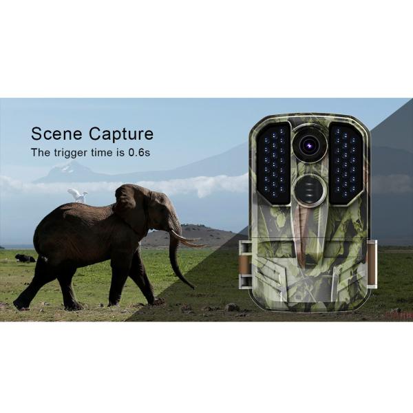 32mp Infrared Night Vision Critter Cameras 10fps Infrared Wildlife