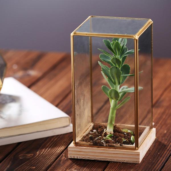 Rectangle Glass Homeware Decorative Succulent Plants Glass Terrarium With Wooden Base
