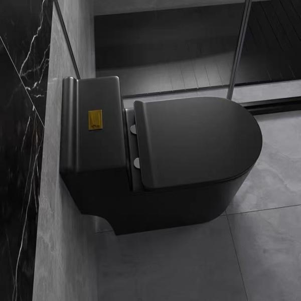 Siphon Flushing Matte Black Toilet One Piece Bathroom Ceramic Sets