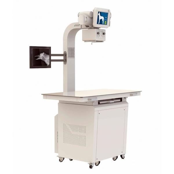 Best Sell Direct X-ray Machine Veterinary X-ray Machine