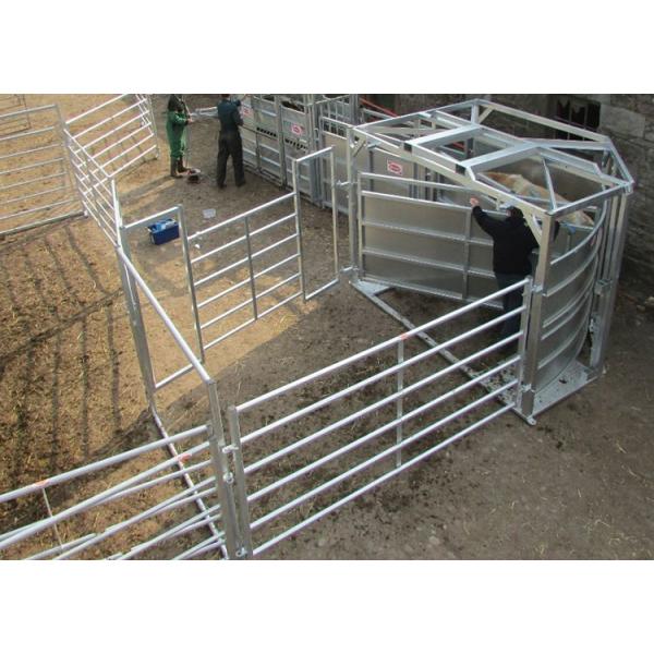 Cerca soldada con autógena tubo cuadrado Panels For Cattle del ganado