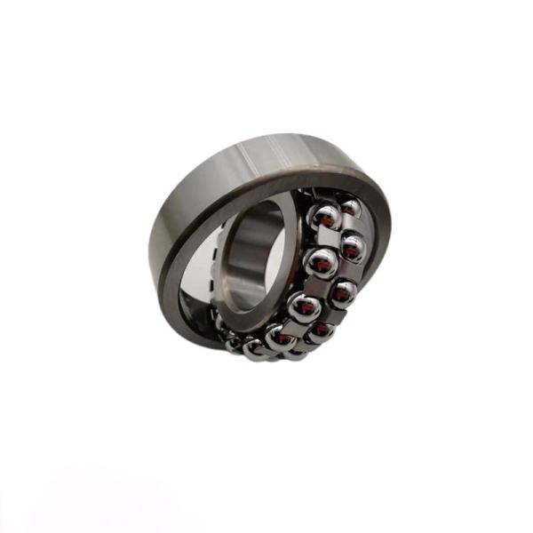 1211k High Precision Self Aligning Ball Bearing 55x100x21mm Original Ball Bearing