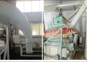Huanan Rongxiang Agricultural Products Processing Co., Ltd.