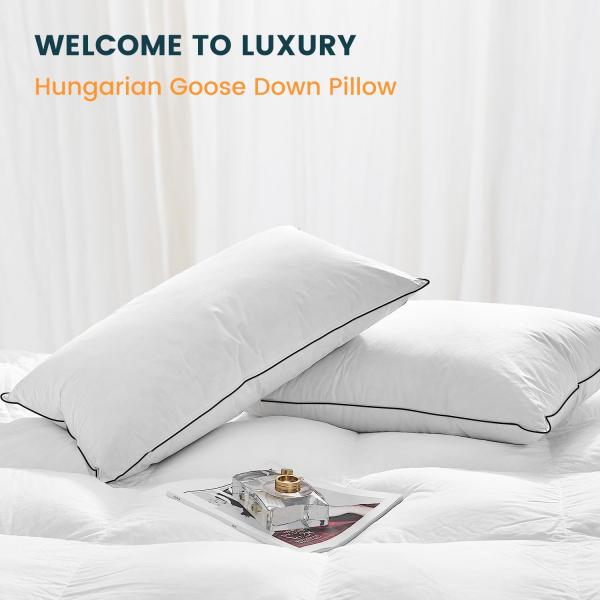Soft Square 100% Polyester Set of 2 Luxury Hungarian Goose Down Pillows for Sleeping