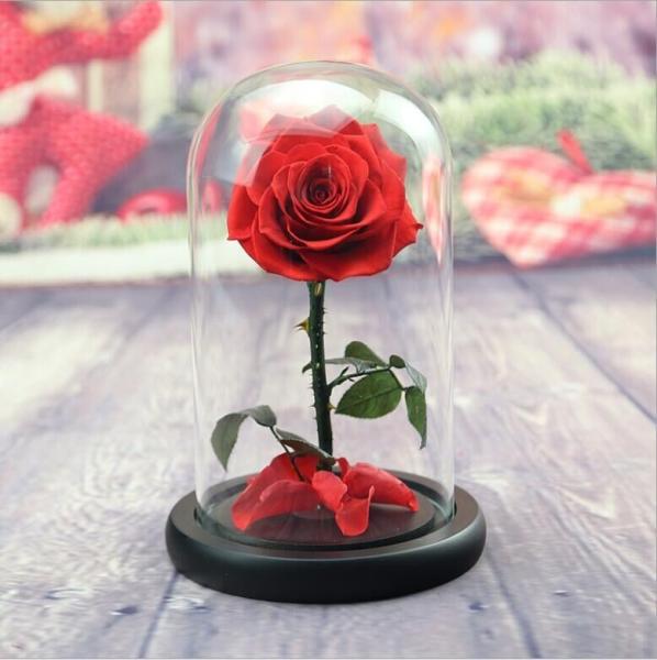 Forever Real Rose Everlasting Flower Preserved Fresh Flower Live Enchanted Rose in Glass Dome Cover with Gift Box
