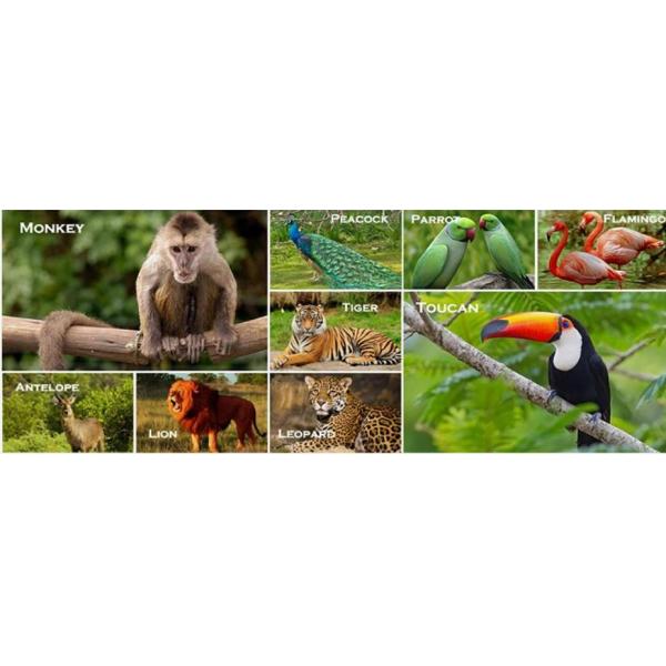 Ultrasonic Bath Architectural Cable Mesh Diamond , Flexible Animal Cage Fencing CE