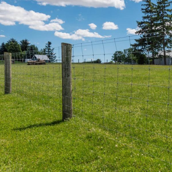Heavy Galvanized Sheep Wire Mesh Fence Thick Wire Diameter Hinge Joint Sheep & Goat Fence