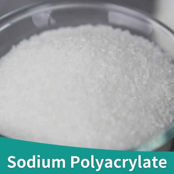 Industry Grade Sodium Polyacrylate High Absorption Capacity Polyacrylic Acid Sodium Salt 9003-04-7