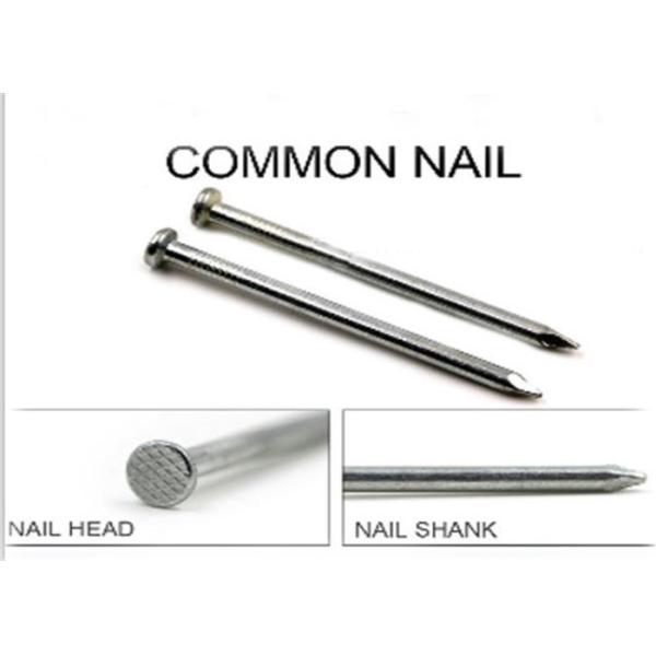 Q195 5kg Polished Construction Common Nail