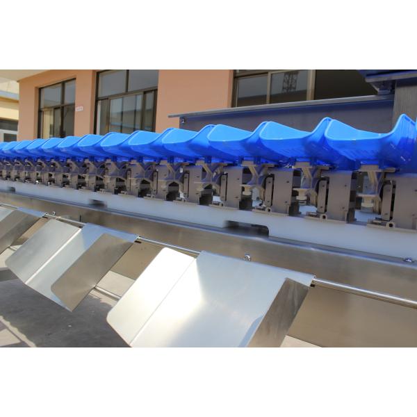 Streamline Your Oyster Fish Sorting Process with Multi-Tray Weight Sorting Machine